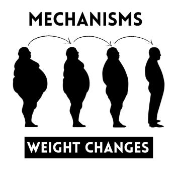 Mechanisms of Weight Changes with Trintellix